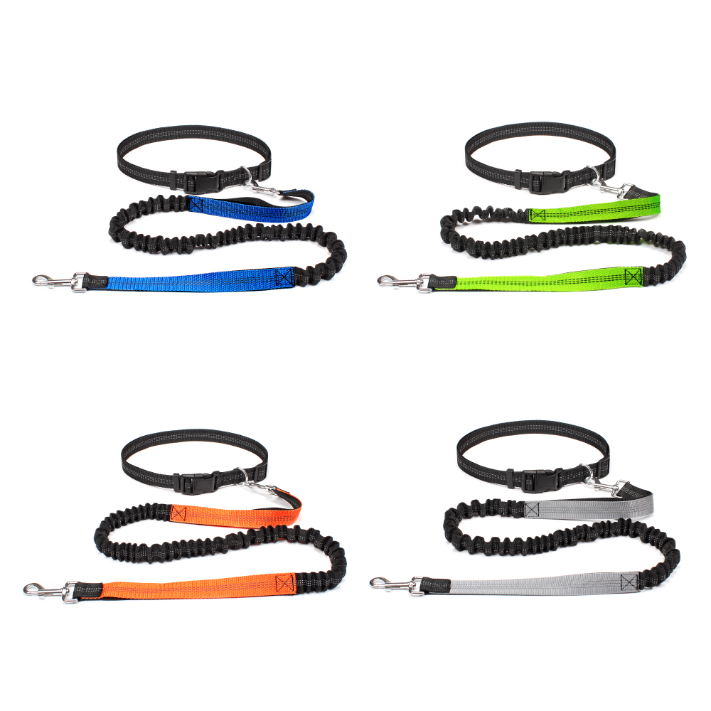 ハンズフリー犬用リード、ペットの散歩、ランニング、ジョギング - Running Jogging Gear のレビューと価格