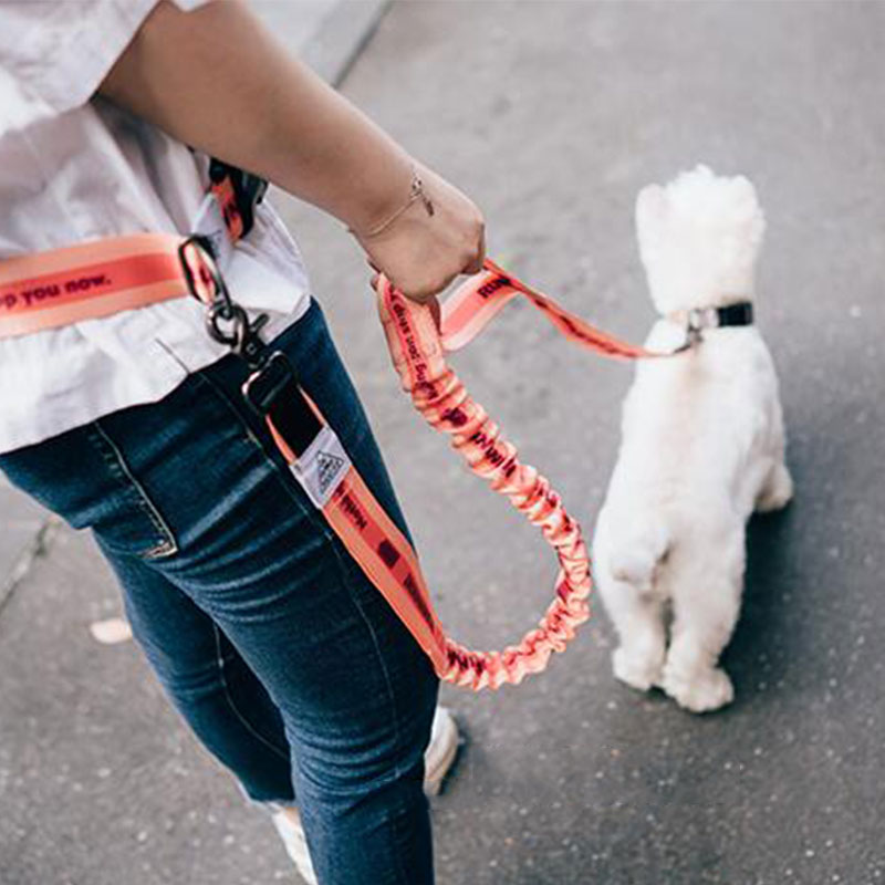 調節可能なハンズフリー犬のリード犬ペットウォーキングランニン - Running Jogging Gear のレビューと価格