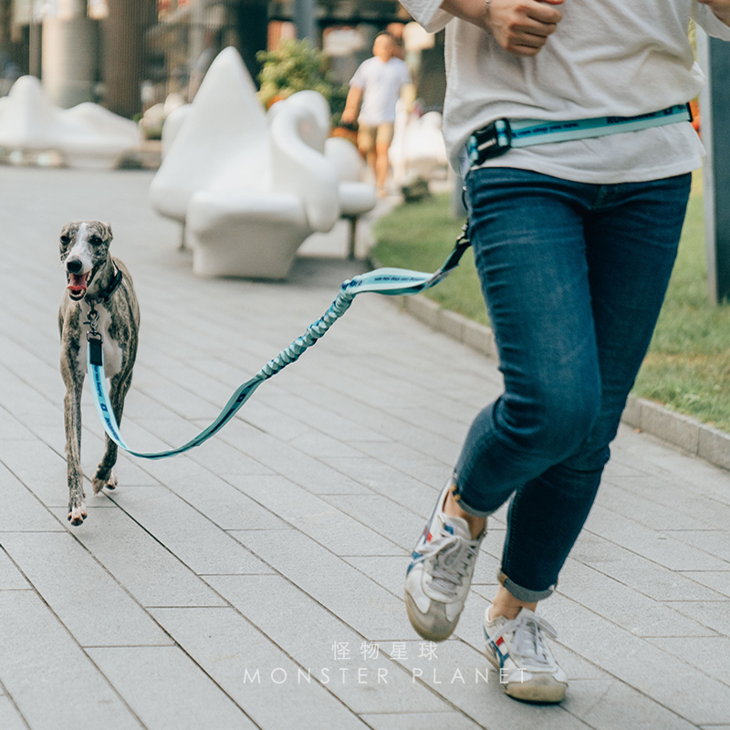 調節可能なハンズフリー犬のリード犬ペットウォーキングランニン - Running Jogging Gear のレビューと価格
