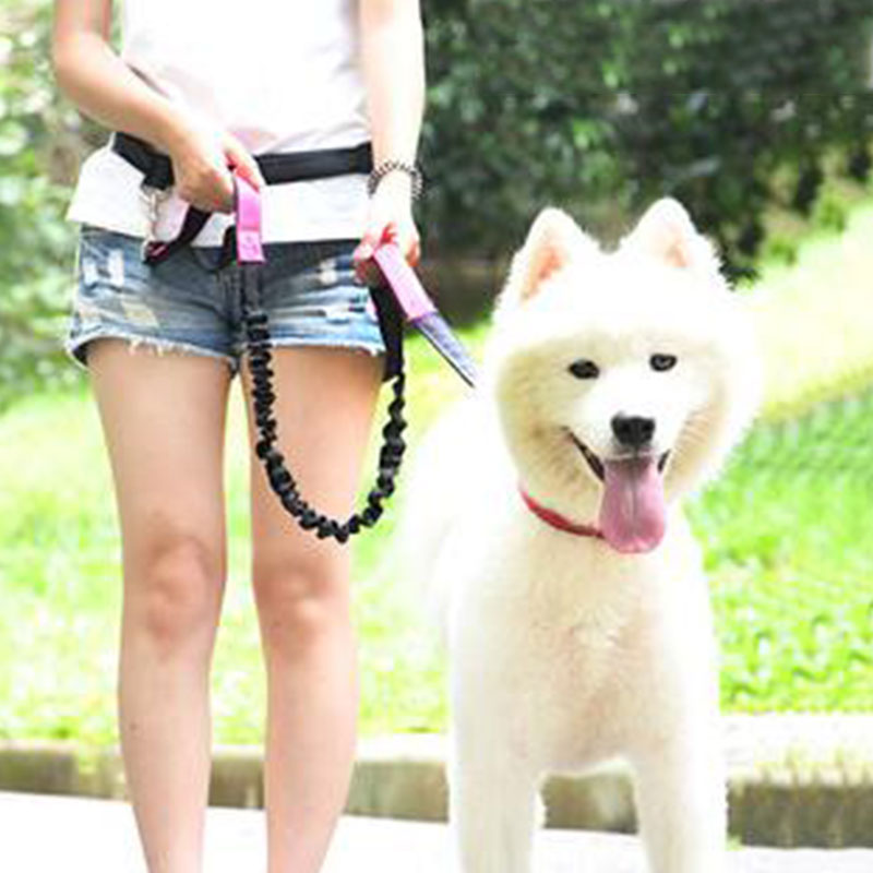 調節可能なハンズフリー犬のリード犬ペットウォーキングランニン - Running Jogging Gear のレビューと価格